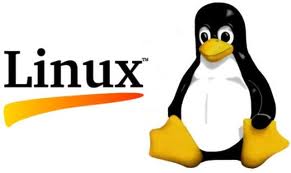 Linux Hosting